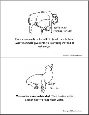 Booklet: Mammals (elementary) -b/w