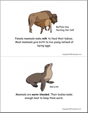 Booklet: Mammals (elementary) -color – Abcteach