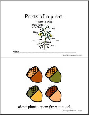 Booklet: Parts of a Plant (primary/elem) -color