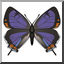Clip Art: Butterfly: Colorado Hairstreak Color