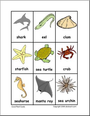 Vocabulary Cards: Coral Reef (color)