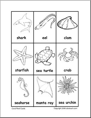 Vocabulary Cards: Coral Reef (b/w) – Abcteach