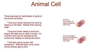 Interactive: Notebook: Science–Animal Cell (upper el-middle-high)
