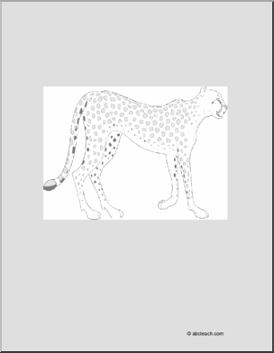 Coloring Page: Cheetah
