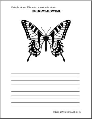 Tiger Swallowtail Butterfly (elem) Color and Write