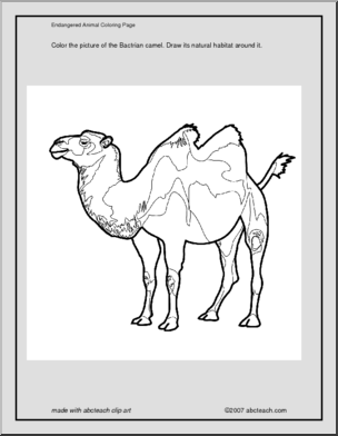 Coloring Page: Bactrian Camel