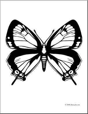 Clip Art: Butterfly: Colorado Hairstreak (coloring page)