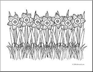 Clip Art: Daffodil Field (coloring page)
