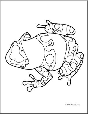 Clip Art: Frogs: Yellow Banded Poison Dart Frog (coloring page)