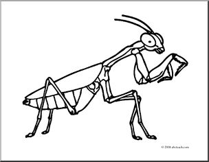 Clip Art: Insects: Praying Mantis (coloring page)