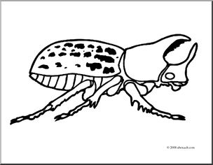 Clip Art: Insects: Rhinoceros Beetle (coloring page)