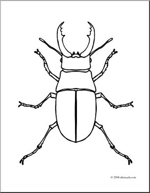 Clip Art: Insects: Stag Beetle (coloring page)