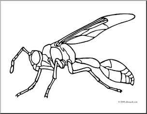 Clip Art: Insects: Wasp (coloring page)