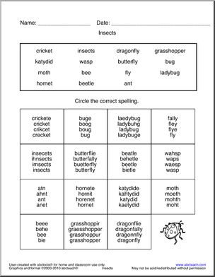 Circle and Spell: Insects 3 Word Wall (primary/elementary)