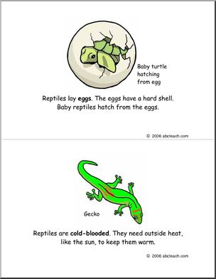 Early Reader: Reptiles (color)