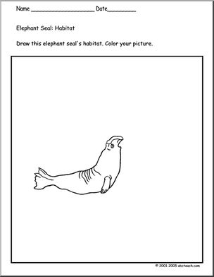 Coloring Page: Seals (elephant seal habitat) – Abcteach