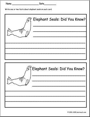 Did You Know? Elephant Seal