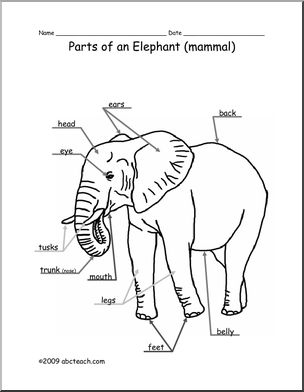 Animal Diagram: Elephant (labeled and unlabeled)