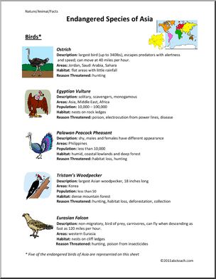 Fact Sheet: Endangered Birds of Asia (elem/upper elem/middle)