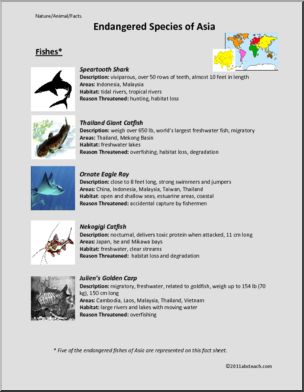 Fact Sheet: Endangered Fishes of Asia (upper elem/middle)