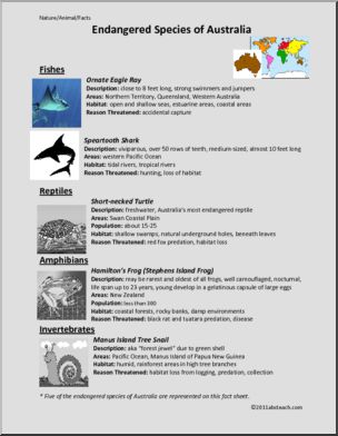 Fact Sheet: Endangered Fishes, Reptiles, Amphibians, Invertebrates of Australia (upper elem/middle)