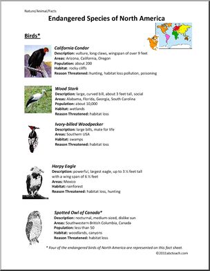 Fact Sheet: Endangered Birds of North America (elem/upper elem/middle)