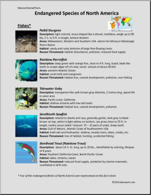 Fact Sheet: Endangered Fishes of North America (upper elem/middle)