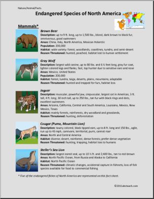 Fact Sheet: Endangered Mammals of North America (elem/upper elem/middle