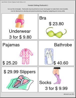 Special Needs: Personal Shopping Practice:  Flashcards: Female Clothing