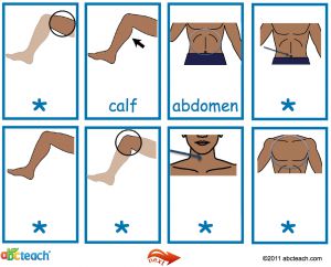 Interactive: Notebook: ESL: Flashcards: Body Parts–with audio