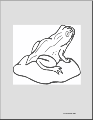 Coloring Page: Frog on Lily Pad