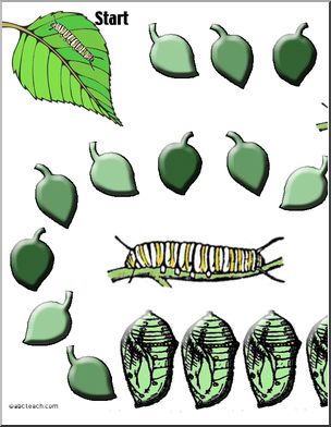 Game Board: Caterpillar (30 spaces; color)
