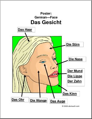 german facial features