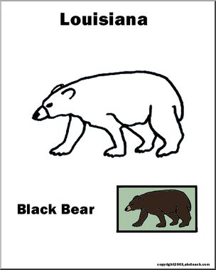 Louisiana: State Animal – Black Bear – Abcteach