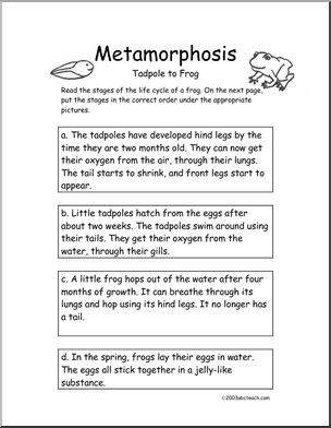 Comprehension: Metamorphosis (elem/ upper elem)