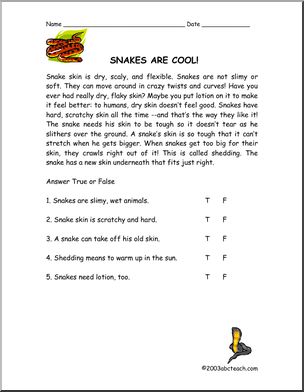 Comprehension: Snakes Are Cool! (primary/elementary)