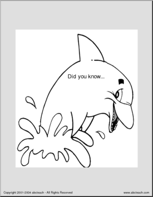 Did You Know? Dolphin
