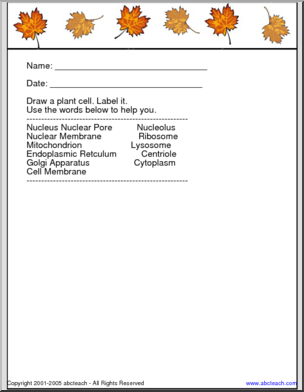 Plants Unscramble the Words – Abcteach