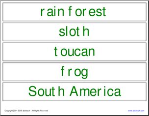 Word Wall: South American Rain Forest