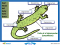 Interactive: Notebook: Salamander Label