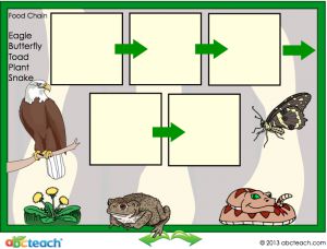 Interactive: Notebook: Science – The Food Chain