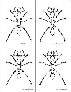 Nomenclature Cards: Ant (4) (b/w)
