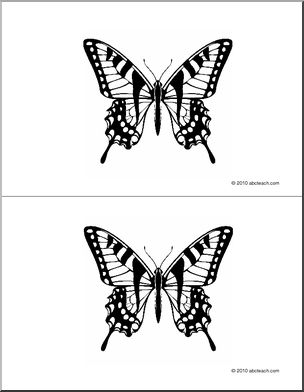 Nomenclature Cards: Butterfly (2) (b/w)