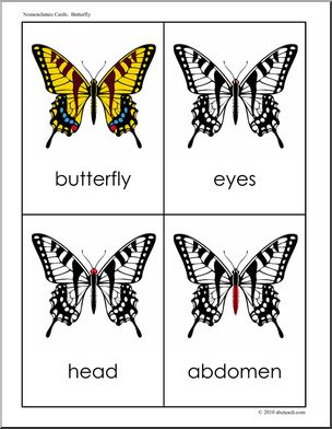 Nomenclature Cards: Butterfly Three-Part Matching (red-highlight)