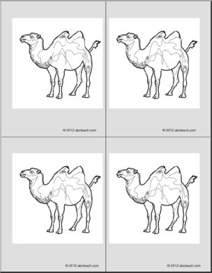 Nomenclature Cards: Camel (4) (b/w)