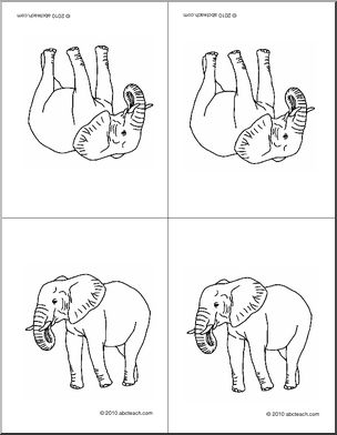 Nomenclature Cards: Elephant (4, foldable) (b/w)