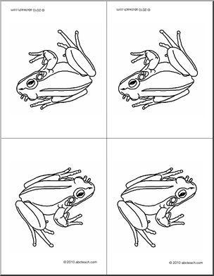 Nomenclature Cards: Frog (4, foldable) (b/w)