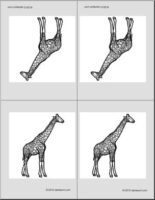 Nomenclature Cards: Giraffe (4) (b/w) (foldable)