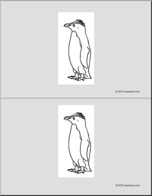 Nomenclature Cards: Penguin (2) (b/w)
