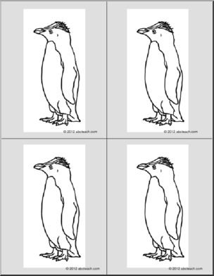 Nomenclature Cards: Penguin (4) (b/w)
